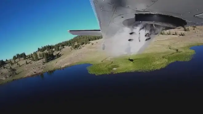 В США рыбу сбрасывают с самолетов. Зачем?