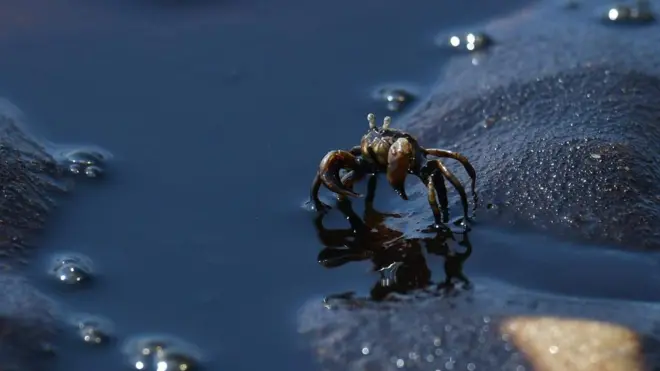 แม่รำพึง