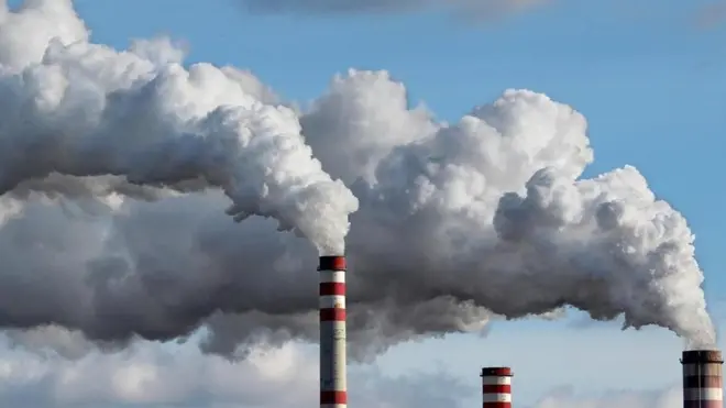 كيف يؤثر الهواء الملوث على صحة أمعائك؟