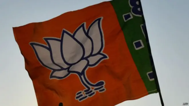 बीजेपी का झंडा