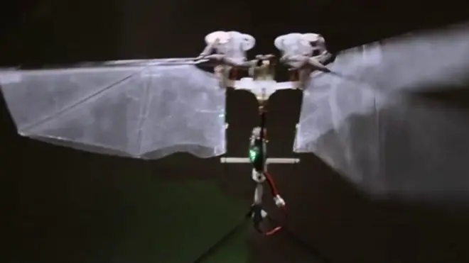 комахи летять на допомогу