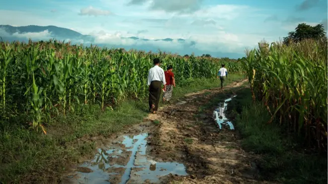 ชาวนายืนกรานว่าที่ดินดังกล่าวเป็นของพวกเขา และจะไม่ล้มเลิกการอ้างสิทธิ์และจะทำกินในที่ดินดังกล่าวตลอดไปโดยไม่มีกำหนด