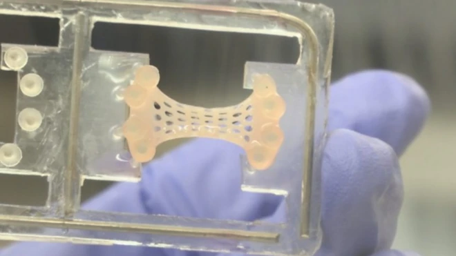 قد تنقذ هذه الرقعة الجديدة الآلاف من مرضى القلب في بريطانيا