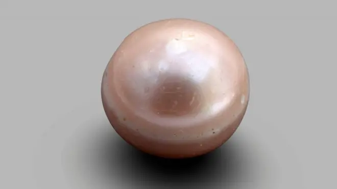 أقدم لؤلؤة طبيعية في العالم أطلق عليها اسم "لؤلؤة أبو ظبي" نسبة إلى المكان الذي اكتشفت فيه