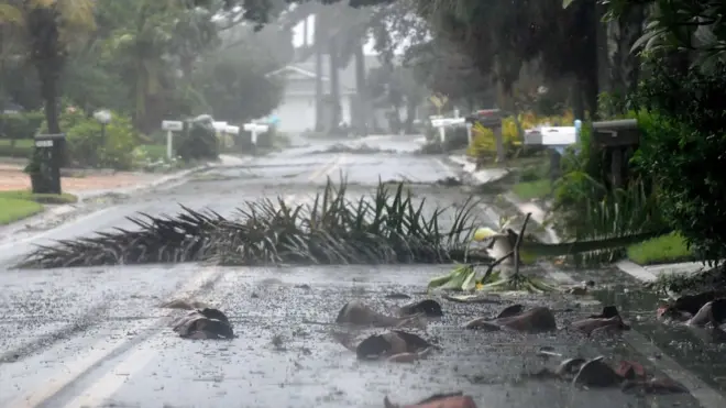 Vistablaze de apostasuna calle con ramas caídas en San Petersburgo, Florida