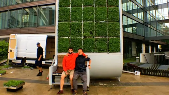 Árbol de musgo "citytree"