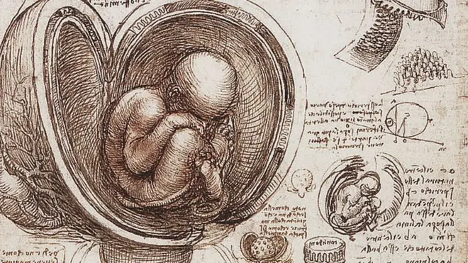 De todos los famosos estudios anatómicos de Leonardo da Vinci, aquellos vinculados al corazón fueron los más relevantes para la ciencia.