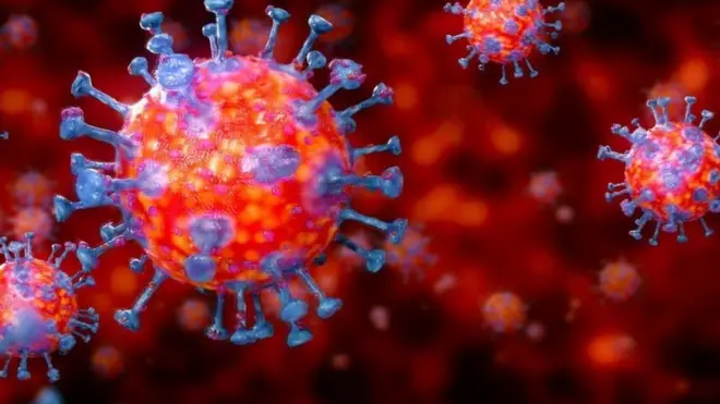 ኮሮናቫይረስ