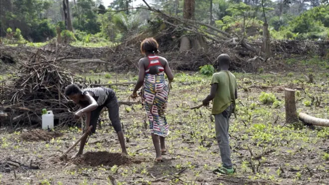 Ndị na-akọ ugbo n'ala