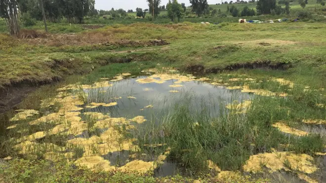 Bakka Haramaayaa'n irraa goge