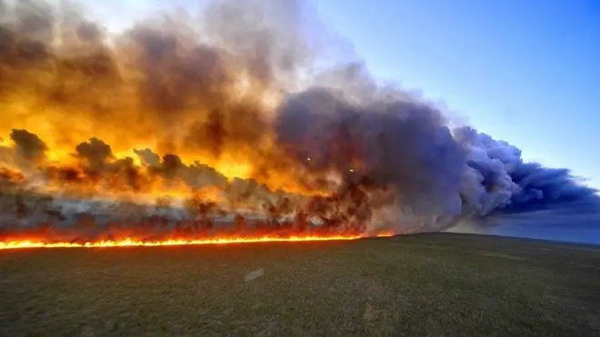 Kebakaran hutan Amazon
