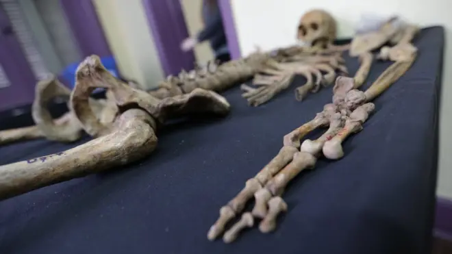 Se estima que en Argentina durante el régimen militar que gobernó el país desde 1976 hasta 1983 fueron desaparecidas 30.000 personas. Muchas de ellas fueron enterradas en fosas comunes.