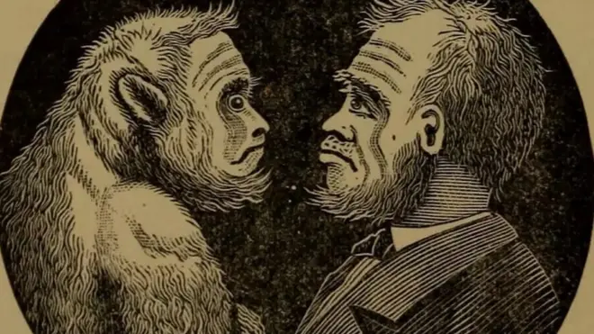 చింపాంజీ-మనుషుల హైబ్రిడ్