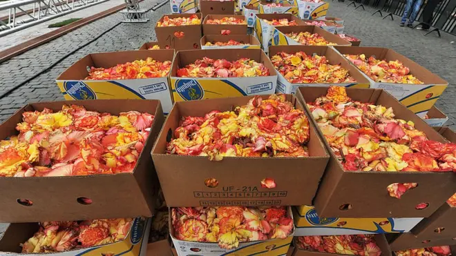 Abaaboo kaartonii keessatti