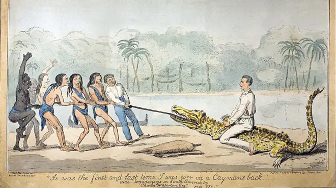 Dibujo con Waterton sobre un caimán, esclavos e indígenas