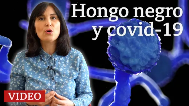 5 preguntas clave para entender la rara infección que ataca a pacientes de covid-19 en India