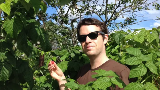 Нил в кусте малины