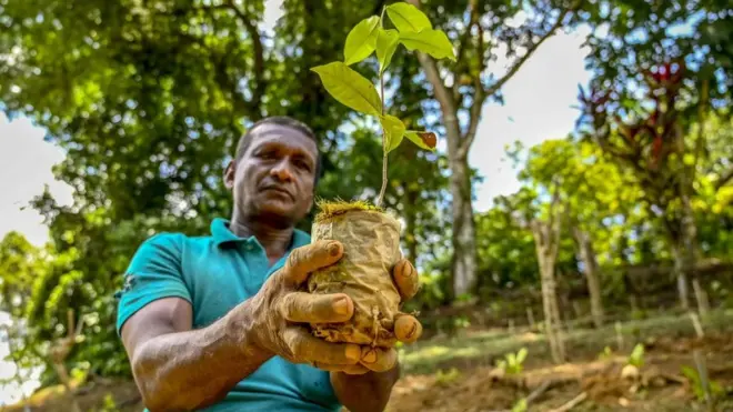 श्रीलंका का किसान