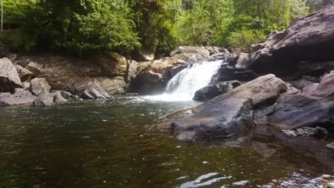 "ශ්‍රී ලංකාවට ආවේණික මිරිදිය සතුන් සහ උභය ජීවීන් විනාශවෙමින් පවතිනවා"