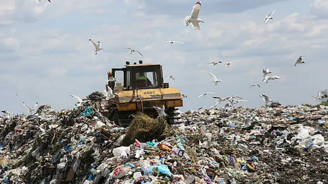 Сміття у Львові