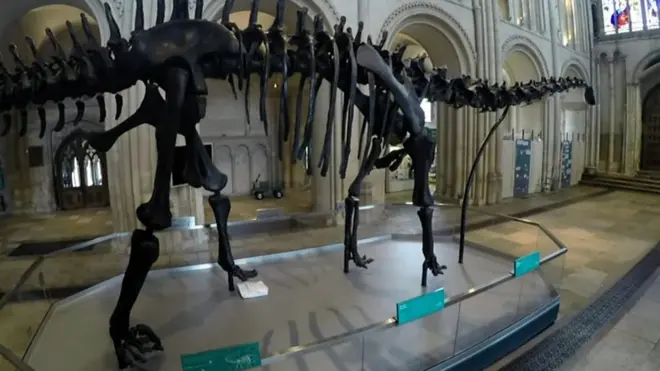 Динозавр диппи