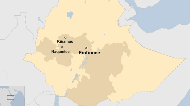 Kaartaa Kiiramuu, Naqamtee fi Finfinnee agarsiisu