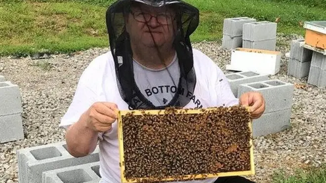 मधुमक्खी