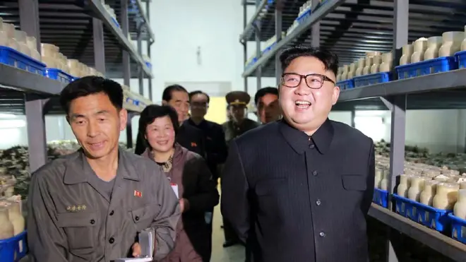 김정은 위원장은 2017년 4월 평양버섯공장을 시찰했다