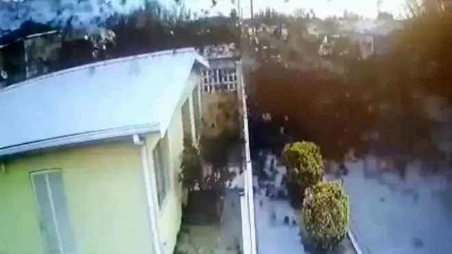 Jato ptica palo mrtvo usred leta u Meksiku