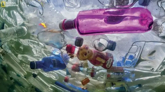 ప్లాస్టిక్