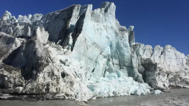 Los modelos de proyección del aumento del nivel de los océanos no tomaron en cuenta la contribución biológica.