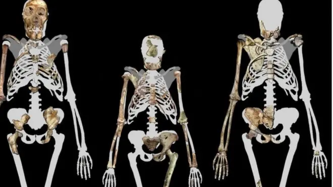 మానవజాతిలో నిటారుగా నడిచిన ఆదిమ జాతికి చెందిన ముగ్గురు.. మధ్యలో ఉన్నది లూసీ. దక్షిణాఫ్రికాలో 20 లక్షల సంవత్సరాలకు పూర్వం మనుషులు నడక మొదలు పెట్టి ఉండొచ్చని అంచనా