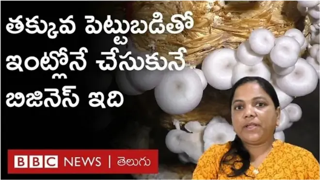 Mushroom Farming: తక్కువ పెట్టుబడితో ఇంట్లోనే చేసుకునే బిజినెస్ ఇది, ఆదాయానికి ఢోకా లేదు