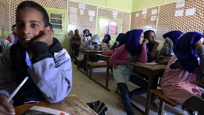 Ụmụakwụkwọ ndị Ọljiria