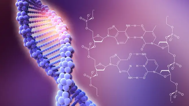 Спираль ДНК