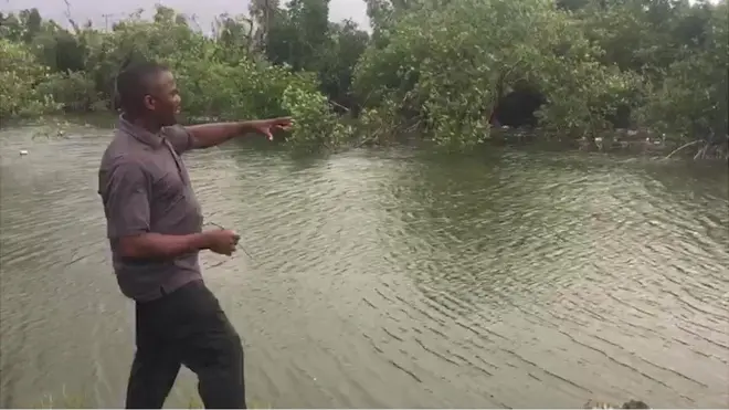 Aroloye Numbere for Mangrove