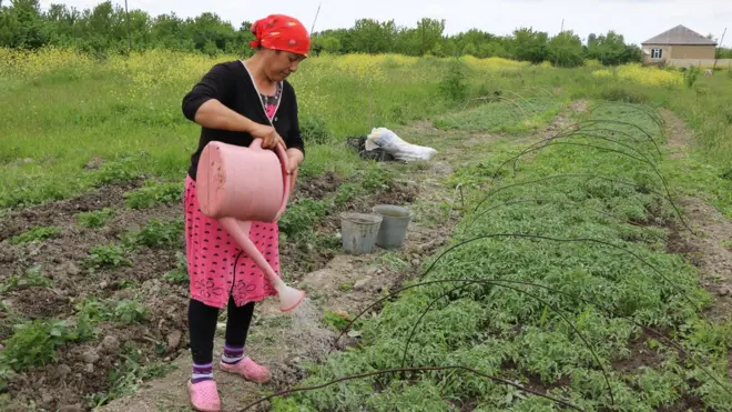 Müşkür kənd sakini