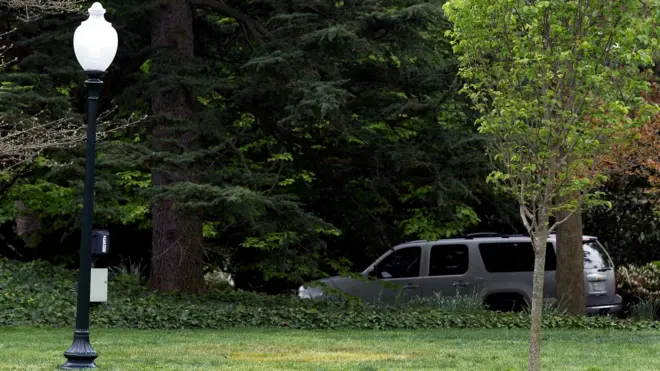 Место, где стояло дерево