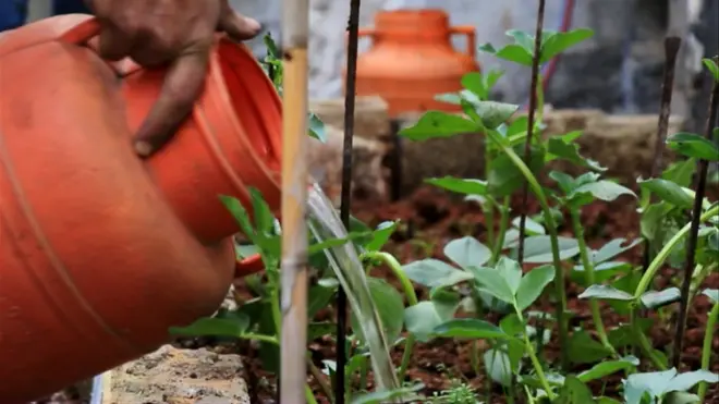 الزراعة في حلب