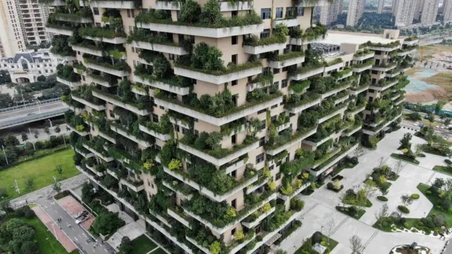 Como resultado de la creciente demanda de edificios verdes, los expertos aseguran que surgirán empleos completamente nuevos, que requerirán competencias profesionales muy específicas.