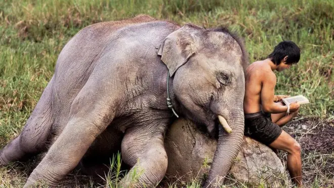 Chiang Mai, Thailand, 2010