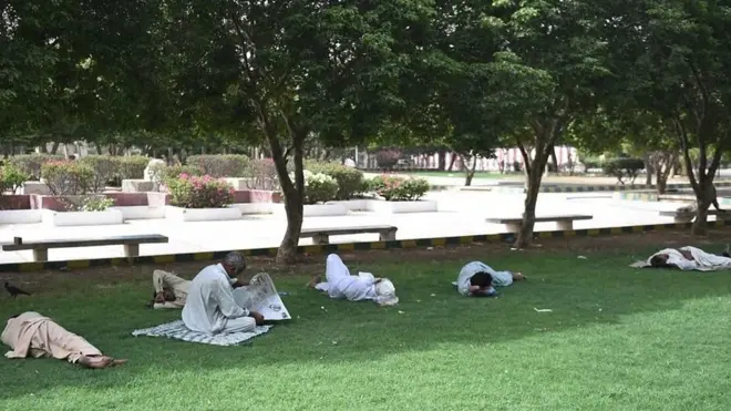 محض درخت لگانے سے ہیٹ ویو معاملہ حل ہوجائے گا یا اس وقت کراچی میں گرمی میں اضافے کی اور بھی وجوہات ہیں؟