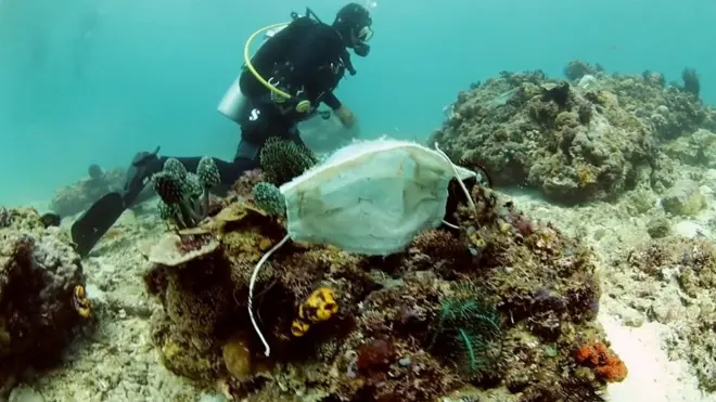 Маска на коралловом рифе.