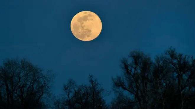 Ndị Igbo na-atụ ilu sị na 'ịpụ egwu ọnwa bụ ure maka na onweghị onye ọnwa anaghị apụta na be ya