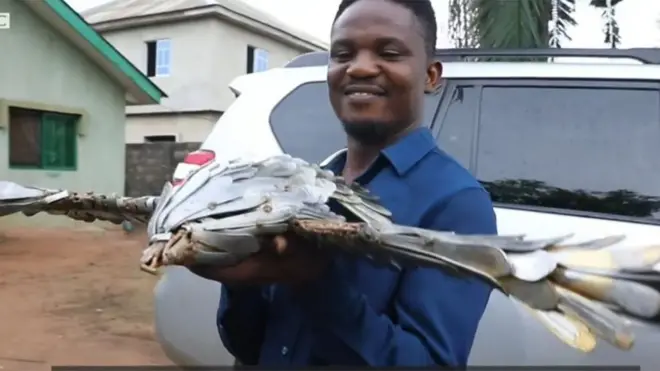 Abiniro Collins na spoon artist