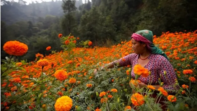 झन्डै १,७०० वर्षदेखि श्रावण १ लाई नै दक्षिणायन विन्दु मानिने गरेको छ