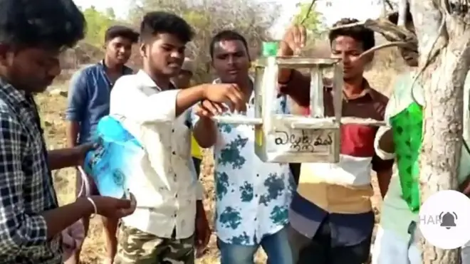 పక్షుల ప్రేమికులు