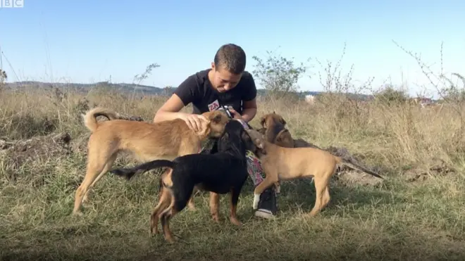 Пси окупљени око једне од волонтерки удружења Бета