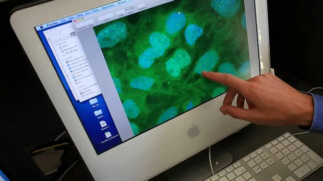 Стволовые клетки