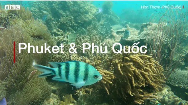 Phuket và Phú Quốc